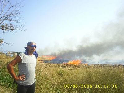 Fire in the field