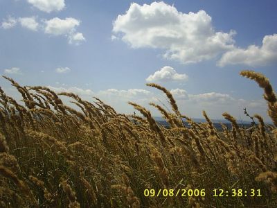 The tail wind